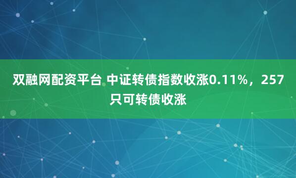 双融网配资平台 中证转债指数收涨0.11%，257只可转债收涨