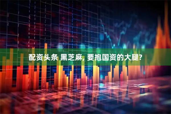 配资头条 黑芝麻, 要抱国资的大腿?