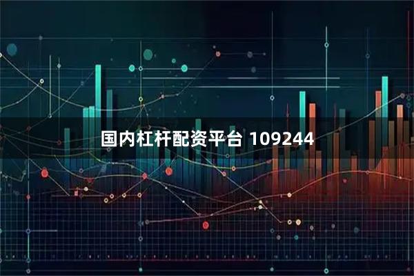 国内杠杆配资平台 109244